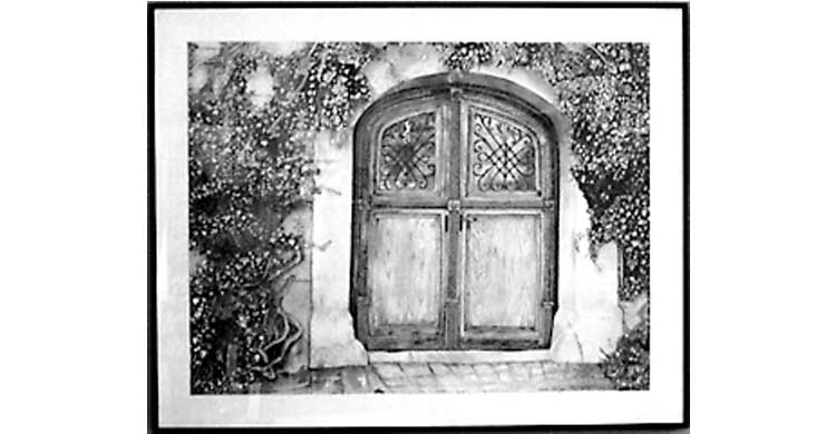 Cathy George Design Illustration