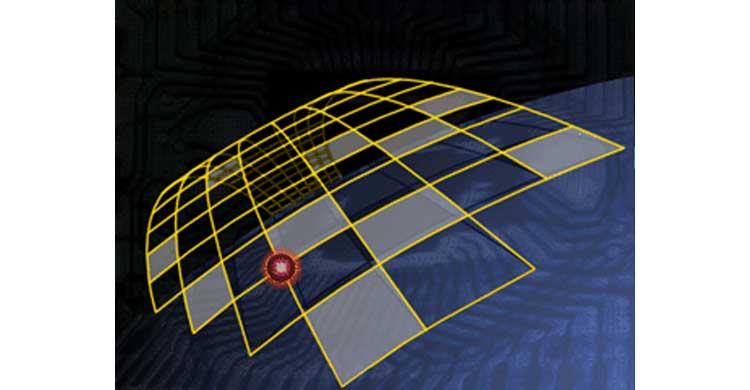 Cathy George Design Illustration