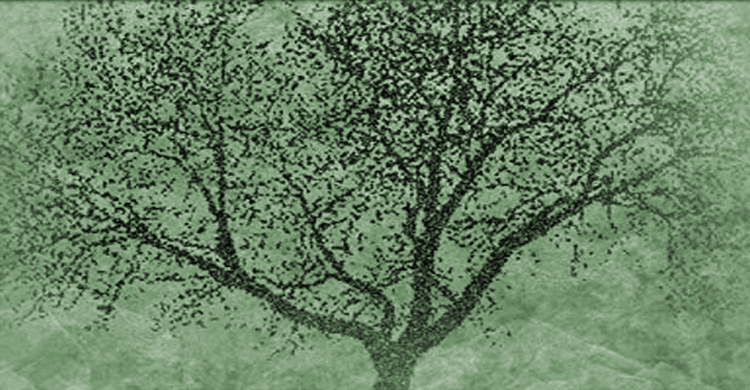 welcome to cathy george design