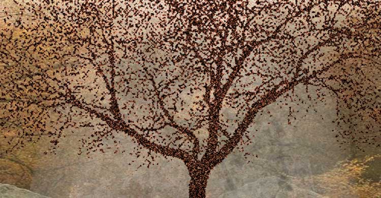 welcome to cathy george design